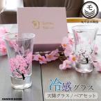 正規品 冷感桜 グラス 天開 ペアセット 温度で変化 サクラ 丸モ高木陶器 ガラス 酒器 おしゃれ お花見 日本酒 冷酒 ショットグラス 日本製 プレゼント 贈り物