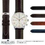 IWC ݥȥ  Portuguese ˤԤä 顼 PLUS  ǥ Ѥ  ץХ ؤ٥   ٥ȸ