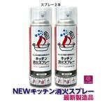 消火スプレー 2本 最新2024/3製造品  家庭用 エアゾール 簡易消火器 天ぷら火災 厨房 飲食店 キッチン キャンプ 防災 赤２