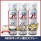 消火スプレー ３本 最新2023/4製造品 家庭用 エアゾール 簡易 消火器 消化器 火消し 厨房 飲食店 キッチン キャンプ 防災 消防