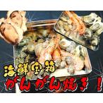 送料無料　海鮮宝箱のがんがん焼き