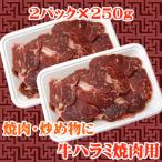 商番1101 11時までの注文で当日発送！(水日祝除く)　牛ハラミ焼肉用　500g(250g×２）