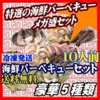 海鮮バーベキュー セット　10人前　送料無料　メガ盛