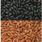  старый плата рис чёрный рис . красный рис. комплект каждый 500g почтовый рейс 