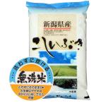 無洗米 10kg こしいぶき 新潟県特A産 無洗米 令和6年産 新米