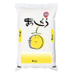 米10kgまっしぐら青森県産津軽地...