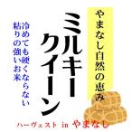 ミルキークイーン 米10kg 山梨県産 自然豊かな やまなし 令和6年産 新米 【事業所配送（個人宅不可）】