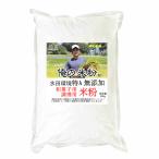 俺の米粉 （農薬9割化学肥8割減 雪若丸） 無添加 アルファ化 米粉 500g　(投函便）