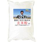 俺の米粉 二代目 農薬不使用 (有機JASのササニシキ) 無添加 玄米粉 500g