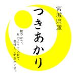 つきあかり 米10kg 宮城県産 大粒で艶やかな 令和6年産 新米 【事業所配送(個人宅不可)】