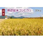 魚沼産100%！県認証米コシヒカリ「白米」30kg（津南町上郷地域限定米！）