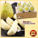  подарок по случаю конца года зима подарок Yamagata чёрный рисовое поле фруктовое дерево . flat полки нет пакет культивирование la* Франция примерно 3kg бесплатная доставка 