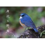 身近な野鳥カレンダー2021(壁掛け) ([カレンダー])