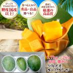 受付開始 キーツマンゴー 訳ありマンゴー 家庭用マンゴー 良品 1.7kg〜2kg（2〜3玉入り）沖縄マンゴー お盆 贈り物 傷や色ムラ 大きさバラバラ