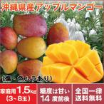  бесплатная доставка Okinawa производство Apple манго для бытового использования манго 1.5kg(3~8 шар ввод ) царапина . цвет пятно есть подарок на Bon Festival бесплатная доставка есть перевод манго 