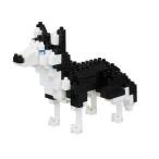 ナノブロック nanoblock シベリアンハスキーNBC_264 ドックブリード