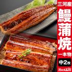 ショッピングうなぎ 蒲焼き 国内産 送料無料 中サイズ2枚 三河産鰻蒲焼 愛知県三河産 うなぎ ウナギ 蒲焼 蒲焼き うな重 国産ウナギ 国産鰻 うなぎ蒲焼き 土用の丑の日 満足良品館 送料無料