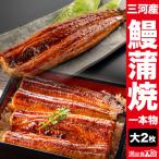 ショッピングうなぎ 蒲焼き 国内産 送料無料 大サイズ2枚 三河産鰻蒲焼 愛知県三河産 うなぎ ウナギ 蒲焼 蒲焼き うな重 国産ウナギ 国産鰻 うなぎ蒲焼き 土用の丑の日 満足良品館 送料無料