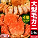 お値引きクーポン配布中 約2.4kg (4尾)  大型毛ガニ (ボイル済) カニ かに ロシア産 蟹 毛蟹 毛がに カニ味噌 蟹ミソ 甲羅 満足良品館カニ 海鮮 全国送料無料