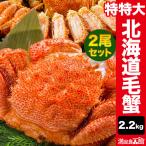 お値引きクーポン配布中 約2.2g (2尾)  超特大北海道産毛ガニ (ボイル済) カニ かに 蟹 毛蟹 毛がに カニ味噌 蟹ミソ 甲羅 満足良品館カニ 海鮮 全国送料無料