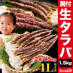 約2肩 1.5kg 約4Lサイズ 肩付生タラバ�