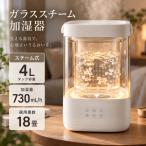 GLASS ガラススチーム加湿器 加湿器 スチーム式 グラス ガラスポッド式 大容量 おしゃれ お手入れ簡単 卓上