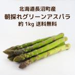 グリーンアスパラ 北海道産 長沼町 【送料無料】約1kg 朝採れ M〜2Lサイズ 家庭用 ギフト おすそわけ