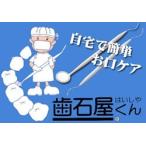 メール便 デンタルケア 歯石屋くん 歯垢対策 ヤニ取り 歯垢除去 歯間 ブラシ ヤニ取り 歯石とり 口臭予防 送料無料