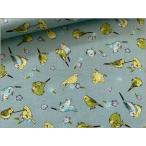 ショッピングシーチング marble 50cm シーチング 生地 布 インコ 小鳥 コットン mint blue 1C
