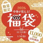 ショッピングエスニック 福袋 2026 レディース 大きいサイズ コーディネート セット 冬 ラッキーバッグ エスニック アジアン ファッション トップス ボトムス アウター Tシャツ