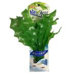 【送料無料】【アウトレット品】 癒し水景 プランテリア アポノゲトンセット M 水槽用品 人工水草 観賞魚水槽用 インテリア GEX
