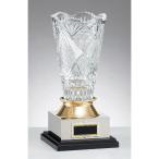 чемпионский кубок C1143 высота 33cm fancy в кейсе знак inserting бесплатный 