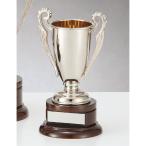  чемпионский кубок C1167C высота 21.5cm серебряный знак inserting бесплатный 