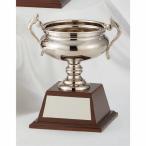  чемпионский кубок C1172C высота 26cm серебряный знак inserting бесплатный 