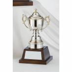  чемпионский кубок C1173C высота 33.5cm серебряный знак inserting бесплатный 