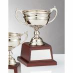  чемпионский кубок C1175C высота 29cm серебряный знак inserting бесплатный 
