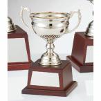  чемпионский кубок C1175D высота 25cm серебряный знак inserting бесплатный 