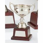  чемпионский кубок C1175E высота 22.5cm серебряный знак inserting бесплатный 
