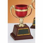  чемпионский кубок C1851A высота 19cm красный знак inserting бесплатный 