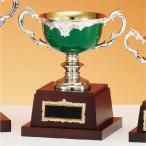  чемпионский кубок C1701C высота 19.5cm зеленый знак inserting бесплатный 