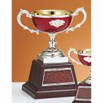  чемпионский кубок C1704A высота 24.5cm красный знак inserting бесплатный 