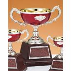  чемпионский кубок C1704B высота 21.5cm красный знак inserting бесплатный 