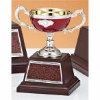  чемпионский кубок C1704E высота 13.5cm красный знак inserting бесплатный 