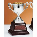  чемпионский кубок C1707A высота 24.5cm серебряный знак inserting бесплатный 