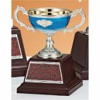  чемпионский кубок C1712D высота 15.5cm синий знак inserting бесплатный 