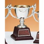  чемпионский кубок C1716B высота 20cm серебряный знак inserting бесплатный 