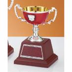  чемпионский кубок C1720D высота 17cm красный знак inserting бесплатный 