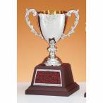  чемпионский кубок C1725B высота 23.5cm серебряный знак inserting бесплатный 