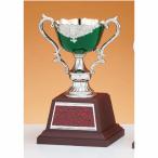 чемпионский кубок C1727B высота 21cm зеленый знак inserting бесплатный 