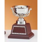  чемпионский кубок C1728C высота 15cm серебряный знак inserting бесплатный 
